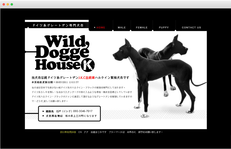 wild dogge house